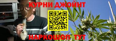 индика Отрадный